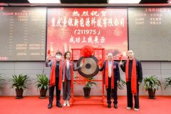 热烈祝贺重庆索银新能源科技有限公司在上海权交易中心成功挂牌